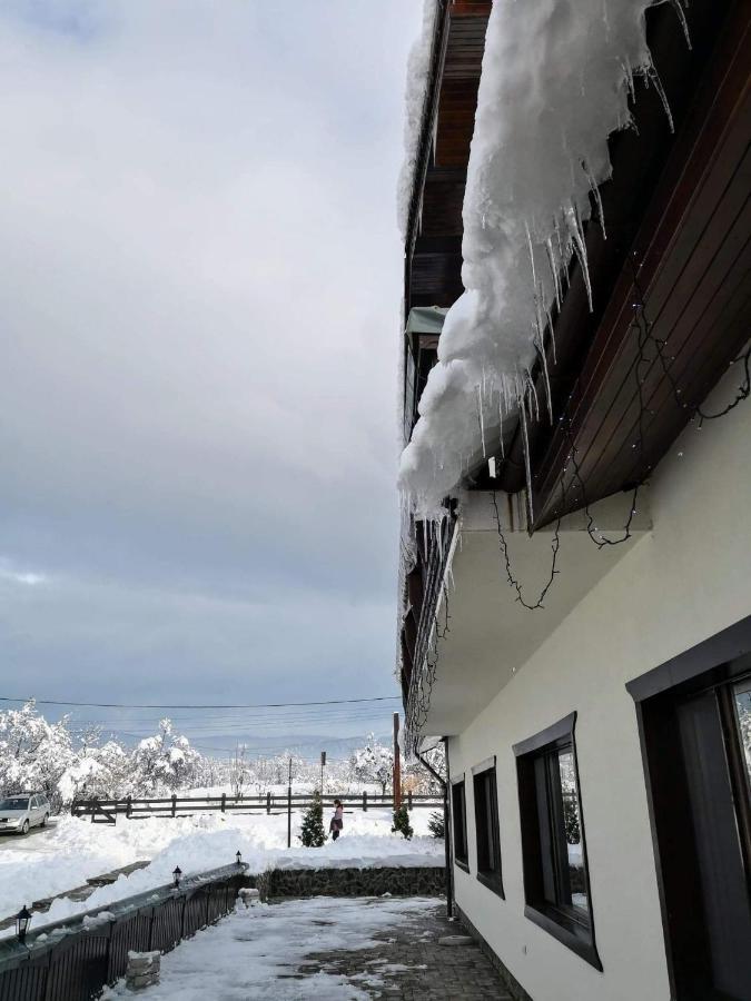 Complex Transalpina Hotel Aninisu din Vale Eksteriør billede