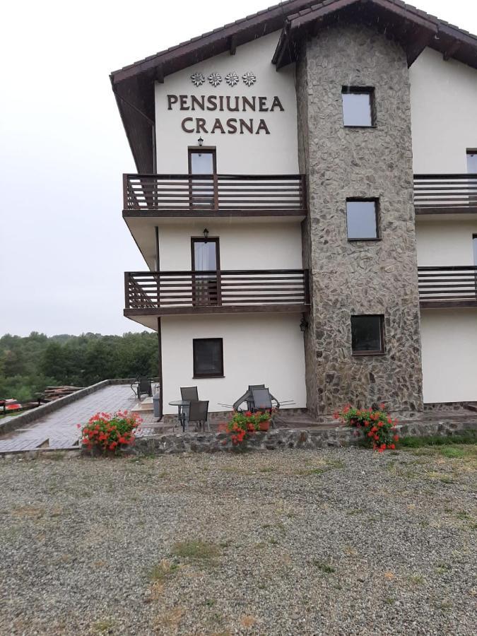 Complex Transalpina Hotel Aninisu din Vale Eksteriør billede