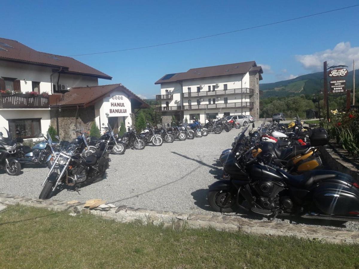Complex Transalpina Hotel Aninisu din Vale Eksteriør billede