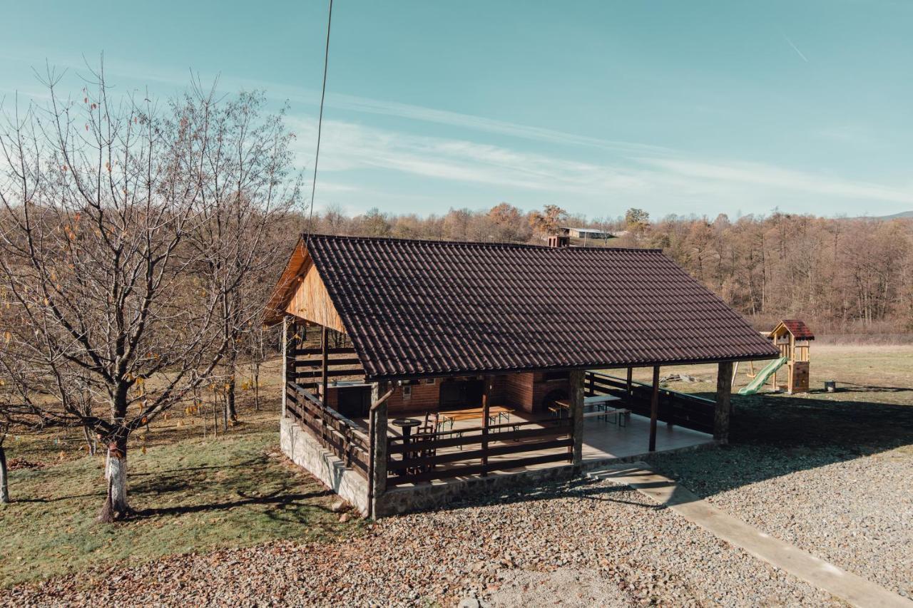 Complex Transalpina Hotel Aninisu din Vale Eksteriør billede